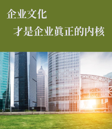 美妆原料供应链数字化转型方案及实施要点